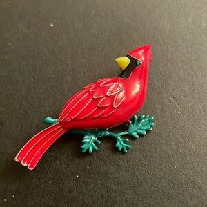 Macys  Red Robin  bird 🐦 pin